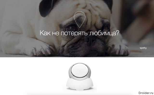 Фитнес-трекер для собак Spotty от российского стартапа